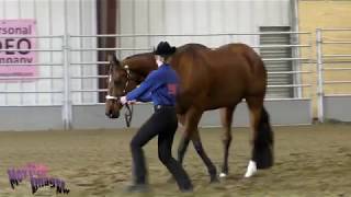 2205 Showmanship; WAHSET State 2019