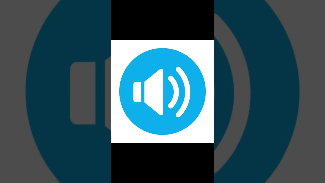 MEGA HORN Angry Siren 