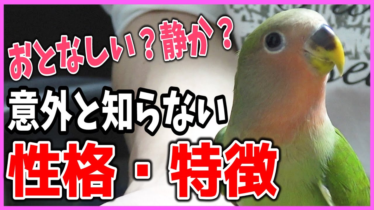 Koza Kleinko [Unexpected personality / characteristics] Is it