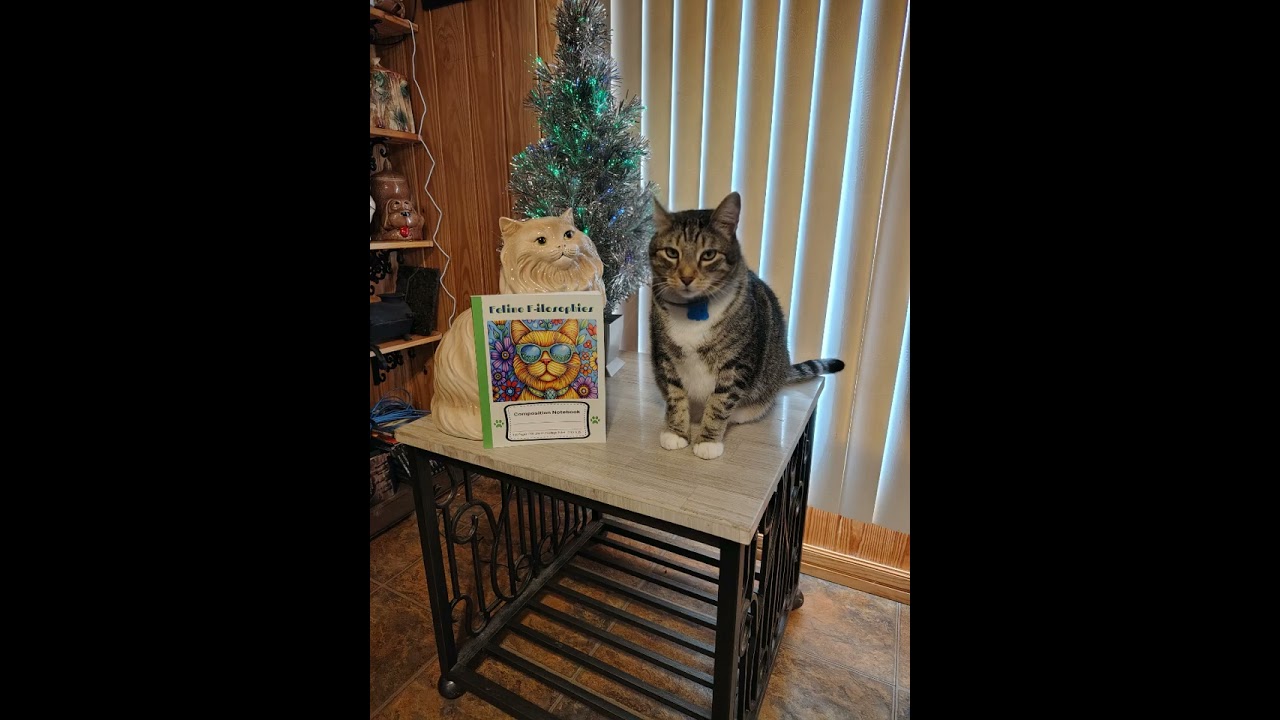 Vader Vibes (Hilarious Wookie cat monologue plus Composition Notebook)