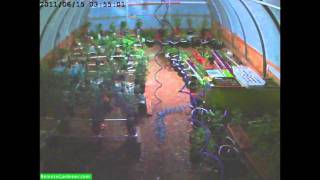 Three Months Growth in One Minute, Hydroponic Time Lapse