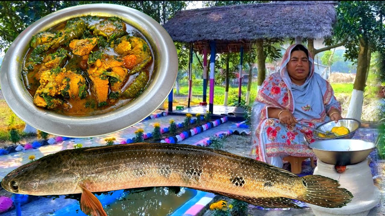 শোল মাছ দিয়ে বাড়ি থেকে তাল বেগুন তুলে রান্না করলাম | Masikara Kitchen