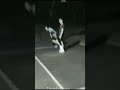 لقطات مرعبة لو لم تصورها الكاميرا لما صدقها أحد 