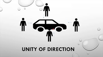 Unity of command &  Unity of Direction by Sanjay Sir Business Studies CBSE Class12 Ch-2-7