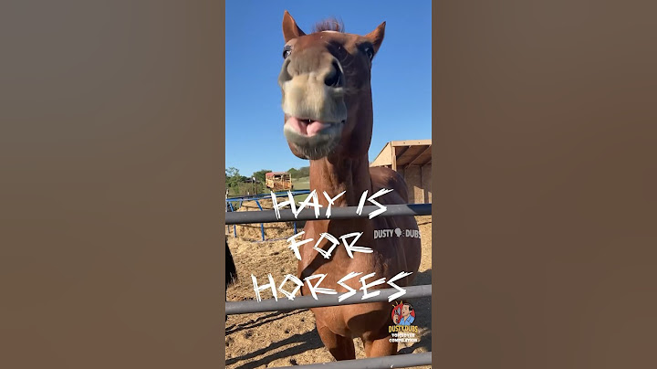 🐴 Horsin’ Around Compilation #shorts