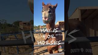 🐴 Horsin’ Around Compilation #shorts