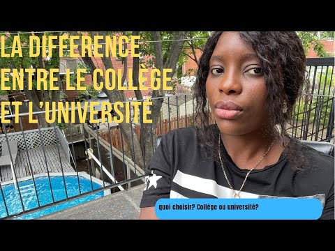 Vidéo: En Quoi Une Université Diffère-t-elle D'un Institut