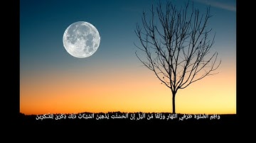 قرأن كريم💛 //ما تيسر من سورة هود