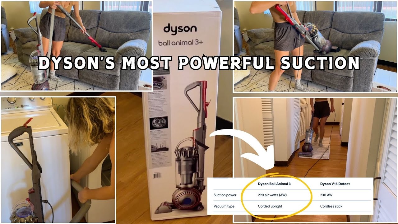 Dyson Ball Animal 3+ Could It Outshine the Overrated V15?
