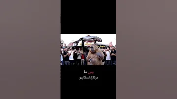 سكايدو باك سمجه من ابو جنه 