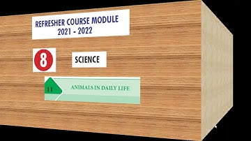 #refresher course model/class08/unit 11/animals in daily life