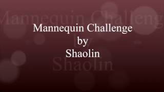 Mannequin Challenge by Shaolin Buzuluk, Russia