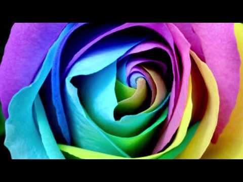 薔薇のひとりごと　原大輔　cover ふじいますお