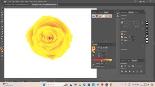 Rose Flower Drawing Adobe Illustrator #rose #graphicdesign #flowers