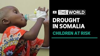 Children dying in Somalia as food catastrophe worsens | The World