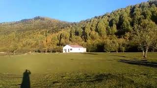 Birdie Uav Landing In Georgia