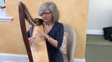 Marini 26-string lap harp