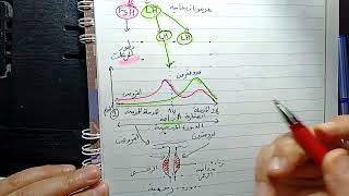 ملخص شامل التنسيق العصبى الهرمونى ثانية ثانوى علوم تجريبية zoom privé
