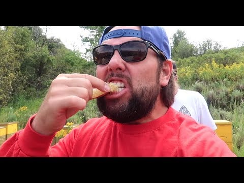 The BEST food in the world!