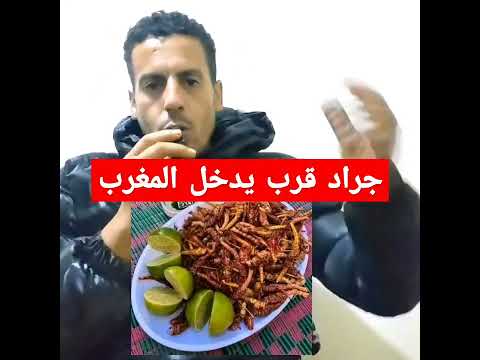 الى وصلكم جراد اشنو ديرو ليه  العريفي العظماء  اكسبلور الظروف ترند تيك توك