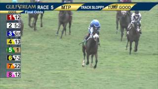 Gulfstream Park Race 5 | June 3, 2017