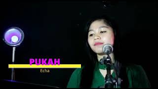Pukah - Yayan Jatnika Cover Neng Eca