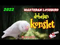 Masteran Lovebird//Dobelan Konslet//Terbaik 2022 ‼️