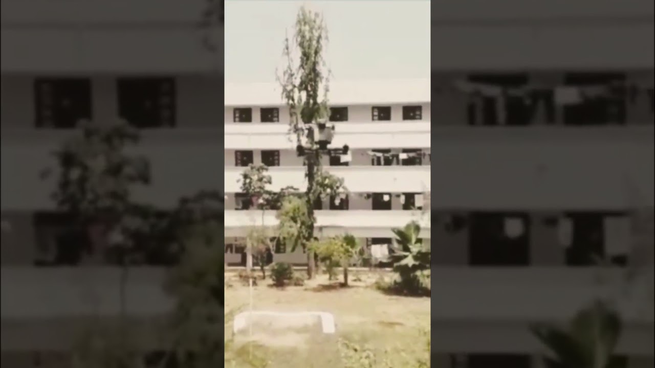 Drones splitting in mid-air 😱‼️|| custom FPV drones ||