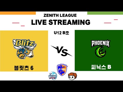 [제니스리그] 블릿츠6 vs 피닉스B | 2024 . 12. 21