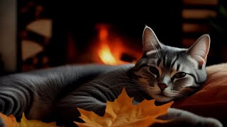 Calming Music For Cats🌙Cat Piano Music🎶 Gentle Melodic Patterns Helping Reduce Stress In Cat Sleep 5