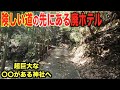 山上にある廃ホテルと神社までの道のりが最強(最狭)すぎた...