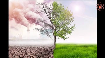 Combustion and Flame || Harmful effects of combustion