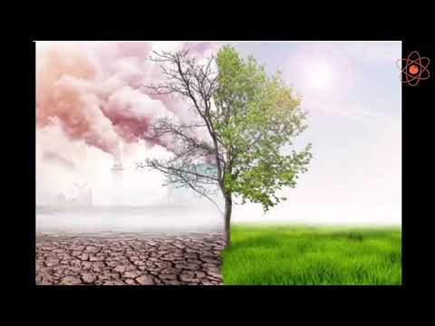 Combustion and Flame || Harmful effects of combustion