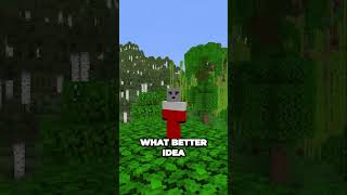 What Is The STORY Of My Minecraft Skin...