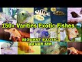 ரூ.200 முதல் 1 லட்சம்😮 வரை| Biggest Exotic Fish Aquarium |150+ Varieties Fishes | Aqua Zoo |lavi..