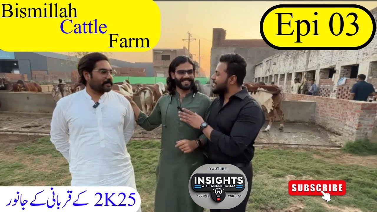 Cattle Farm EP. 3 | Powerful Bulls for Eid 2K25 🐂 | Premium Breed Arrival & Farm Life Vlog