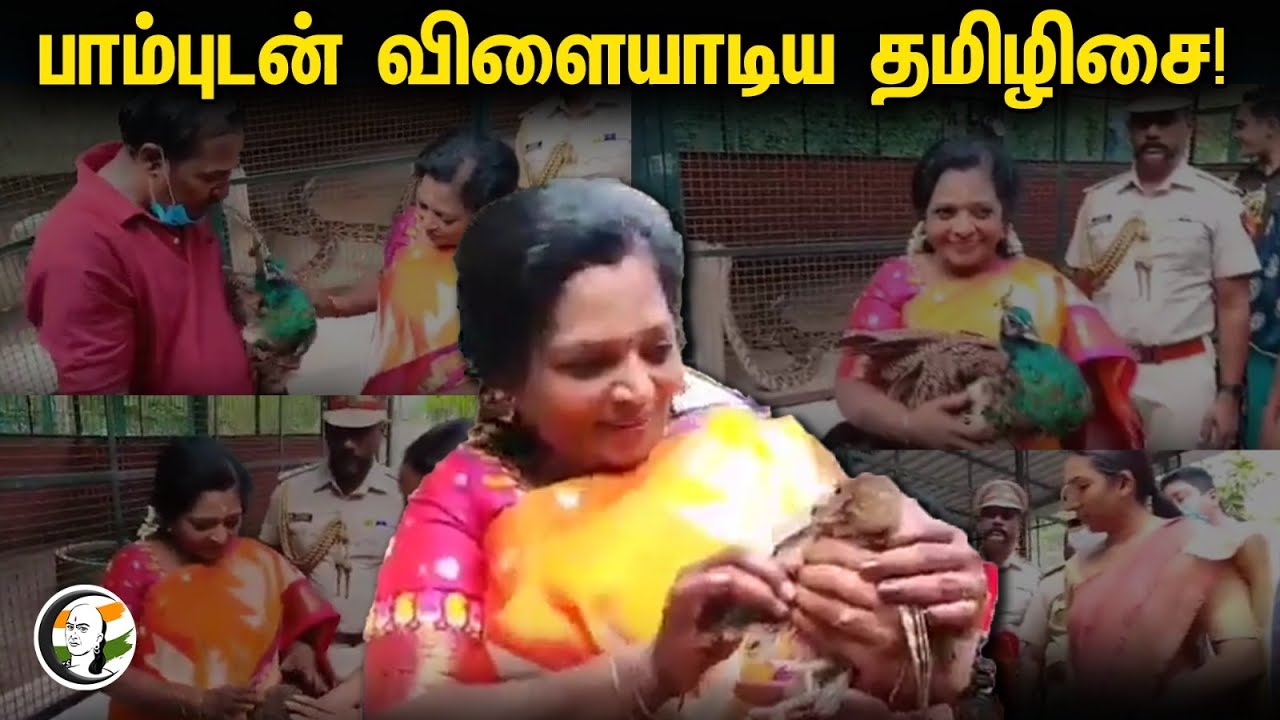 பாம்புடன் விளையாடிய Governer Tamilisai Soundara Rajan | Zoo Park