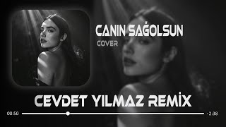 Yaşanmadan Bilinmiyor Vedalar (Canın Sağolsun) Seyit Yıldırım Cover