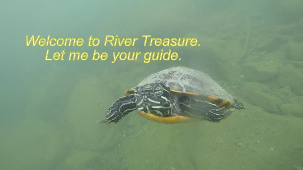 caverns near me River Treasure: Mega Turtle Edition