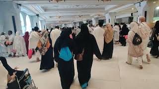 Kabede A Yoğunluğu Her Yer Tiklim Tiklim