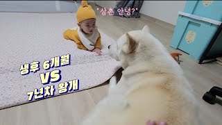 겁없는 조카와 왕개삼촌의 만남💕