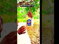 English Mal #shorts #viralvideo #viral