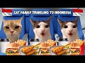 Cat Memes Roadtrip Vacation Compilation