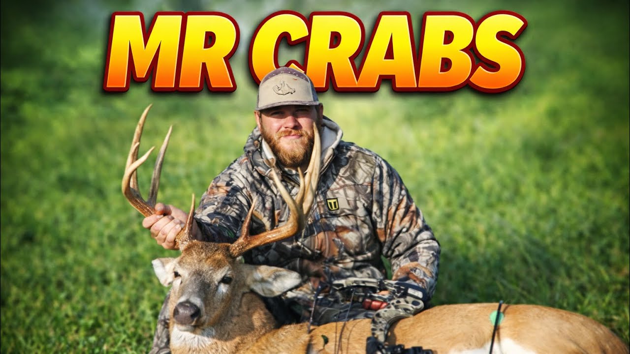 The Story of Mr Crabs( Absolutely Hammer!)