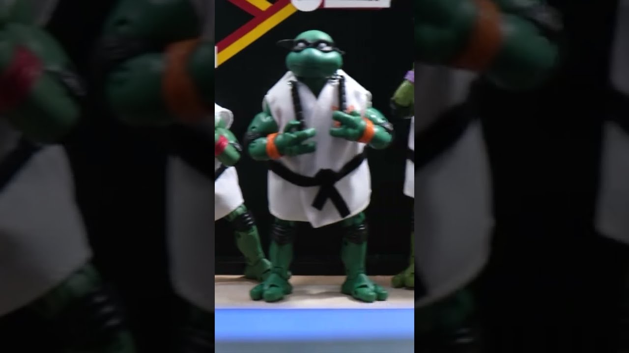 Teenage Mutant Ninja Turtles Playmates Raphael vs John