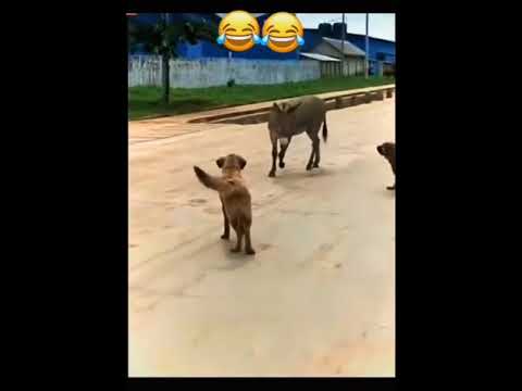 اهرب اطاهر اهرب ماتلفتش وراك اطاهر