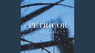 Video thumbnail of "Mar Índigo - Petricor"