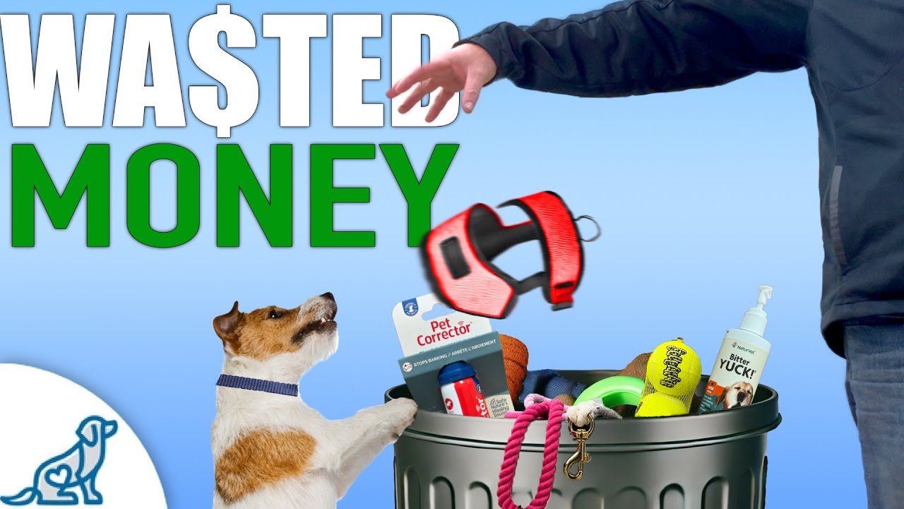 The Only Things You NEED When You Get A Puppy