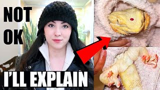 Why People Are OUTRAGED About Kim Kardashians Bearded Dragon