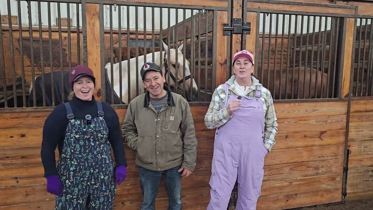 Как конюшни Moctezuma обустраивают свои тренировочные стойла | Визит лучших друзей конюшни